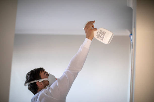 Best Mold Removal Company Near Me  in Genesee, ID