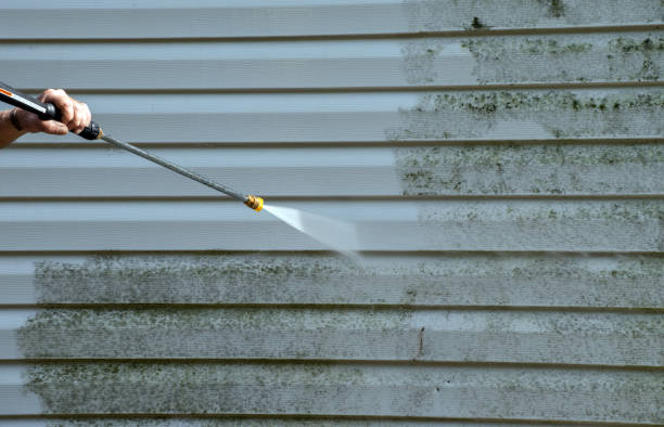 Best Professional Mold Removal  in Genesee, ID