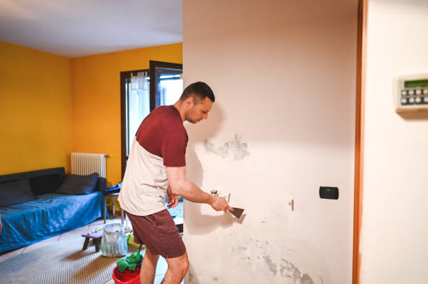 Best Water Damage Restoration  in Genesee, ID