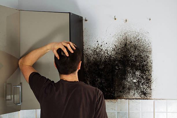 Best Commercial Mold Removal  in Genesee, ID