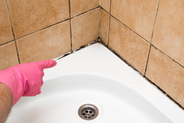 Best Local Mold Removal Service  in Genesee, ID